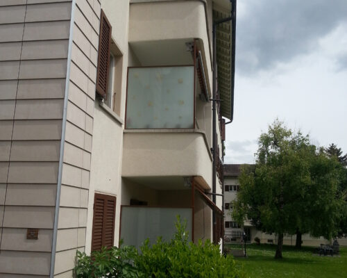 Gelaender-Handlauf-Sichtschutz_20130603_152526
