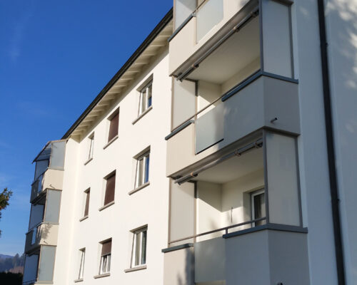 Gelaender-Handlauf-Sichtschutz_20161212_113056