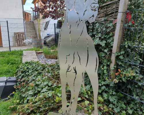 Laserarbeiten_20210505_175748